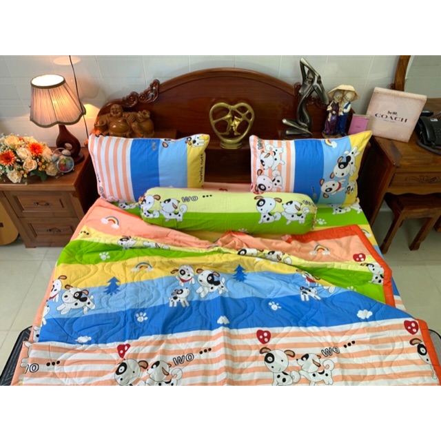 Drap cotton hàn quốc