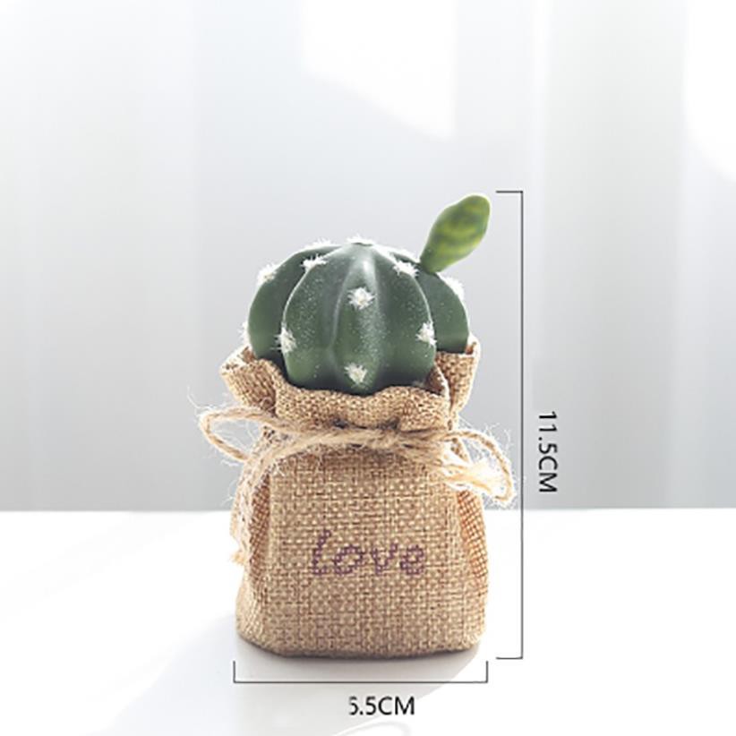 🔥𝐇𝐎𝐓 𝐃𝐄𝐀𝐋🔥Xương Rồng Decor Trang Trí Bàn Học MQ-021