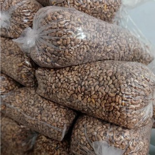 Hạt Điều Bể Sấy Rang Muối Sạch Vỏ Lụa/ Còn Vỏ Lụa 500Gr