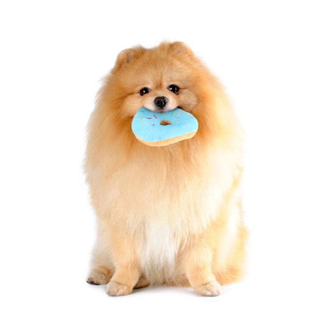 [HCM] Đồ chơi gặm hình bánh donut phát ra tiếng cho chó mèo, cho thú cưng vui chơi siêu dễ thương
