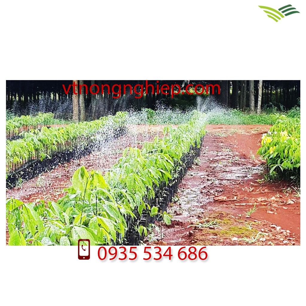 Ống tưới phun mưa phi 34 có mép biên, đục 5 lỗ chéo, cuộn dài 200m, hàng dày, độ bền 3-4 năm, hiệu Nguyễn Tân