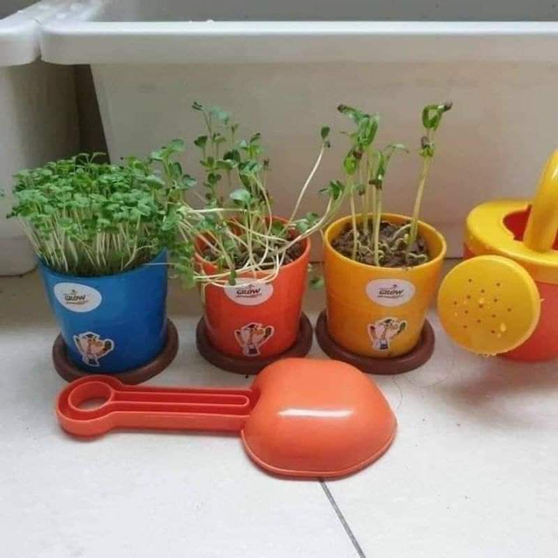 bộ đồ chơi trồng cây cho bé