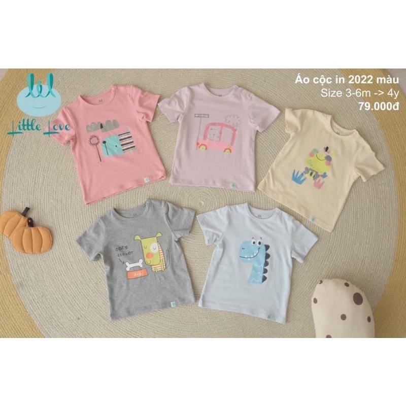 Áo cộc tay in hoạ tiết 2022 Lil