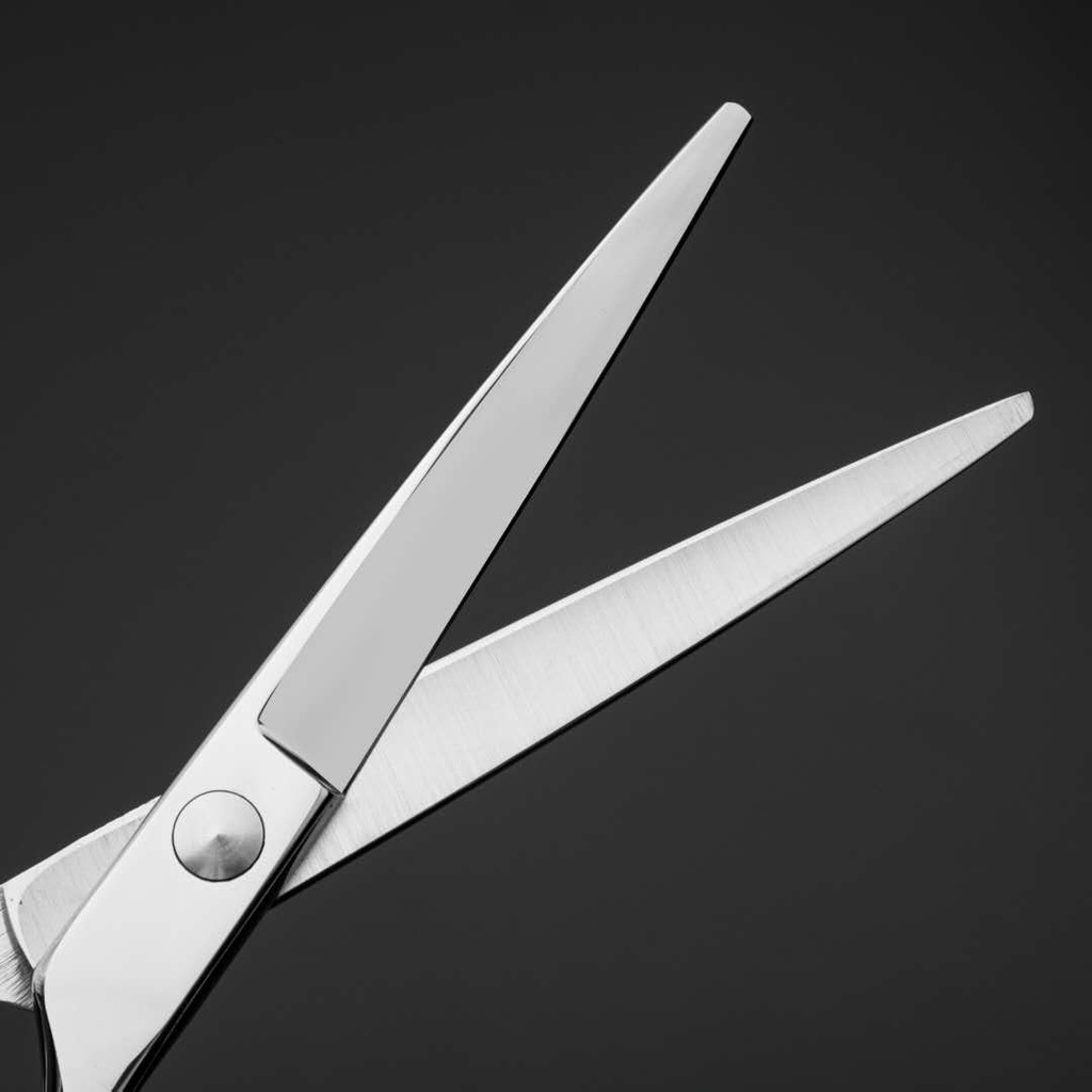 Bộ 2 cây kéo cắt và tỉa tóc tại nhà chuyên nghiệp 6inch chất liệu thép không gỉ