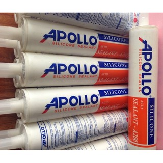 SILICON APOLLO