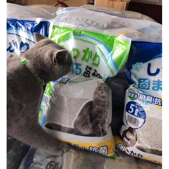 Cát vệ sinh Nhật Bản Cat Litter Kitty Pet 5L cho mèo cát nhật trắng siêu vón khử mùi tốt