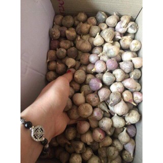 1kg tỏi cô đơn ta