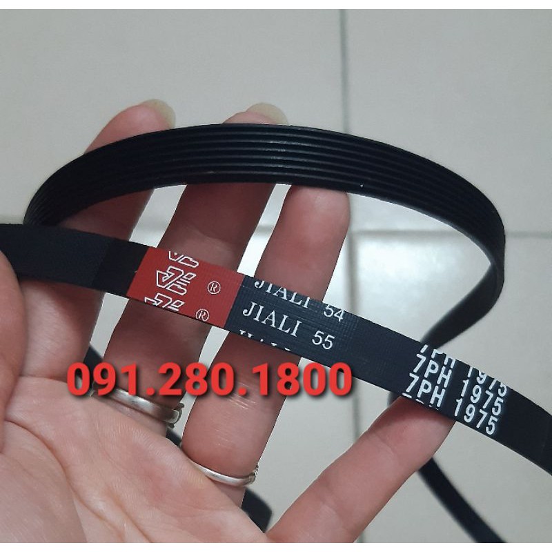 Dây curoa máy sấy Electrolux 7PH 1975