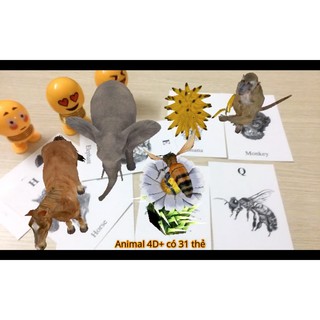 Combo 20 bộ animal 4d+ học tiếng anh flash card cho bé