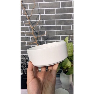 Bộ 2 chậu sứ trắng trồng cây