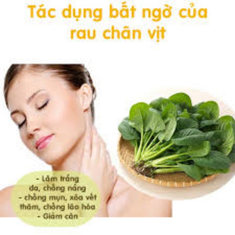 Bột Cải Bó Xôi  nguyên chất sấy lạnh thơm ngon, hàm lượng dinh dưỡng cao