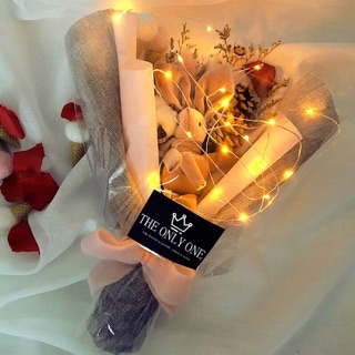 Đèn đom đóm (FAIRY LIGHT) 3m