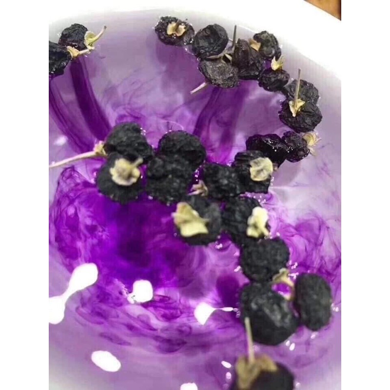 Hắc kỉ tử Tây Tạng