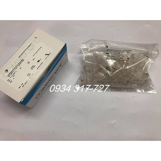 Hạt mạng Cat6 xuyên thấu túi 100 Chân đồng