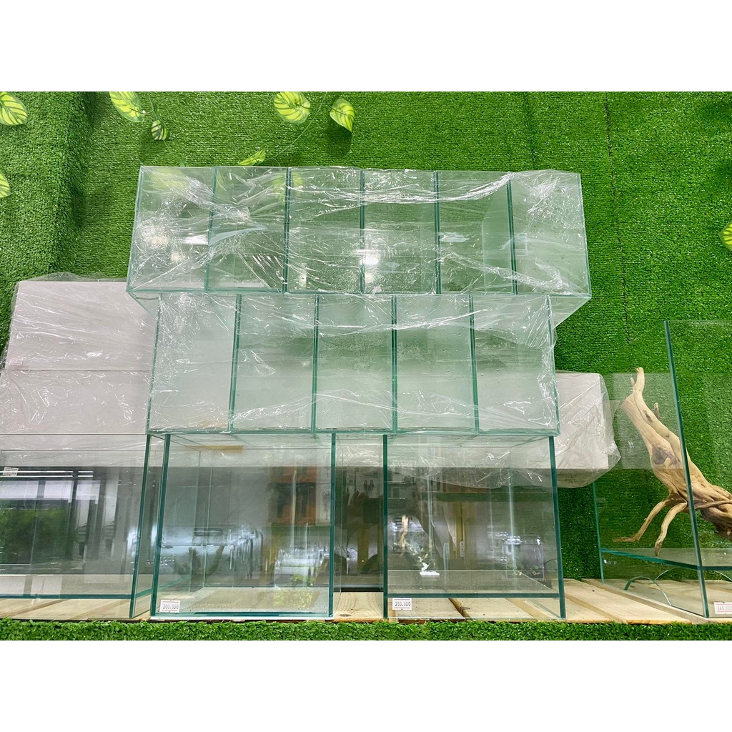 Hồ kính nuôi cá betta và guppy kích thước 15x10x18 cm
