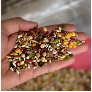 KQ Rozan King ( loại King, loại cao cấp nhất) ngũ cốc gà đá 2,268 kg