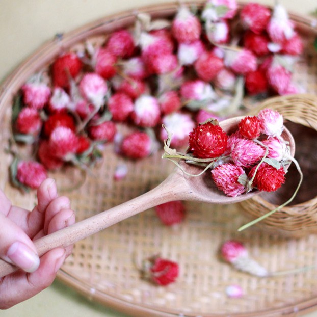 Hoa Cúc Bách Nhật Hồng Tự Nhiên Sấy Khô - Nguyên Liệu Làm Nến Thơm, Handmade