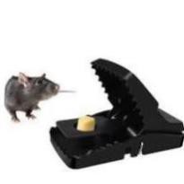 [ RẺ VÔ ĐỊCH ]Bẫy chuột thông minh , CẠM BẪY CHUỘT THÔNG MINH BẰNG NHỰA