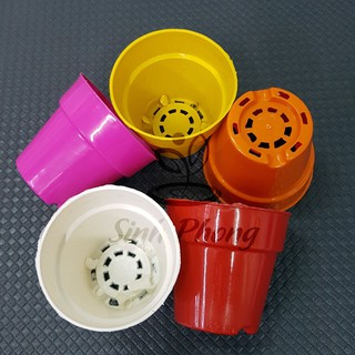 Chậu tròn 7x7 nhiều màu (Set 100 cái).