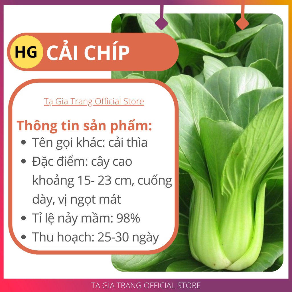 Hạt giống rau cải chíp (cải thìa - cải chít) - Shop hạt giống Tạ Gia Trang