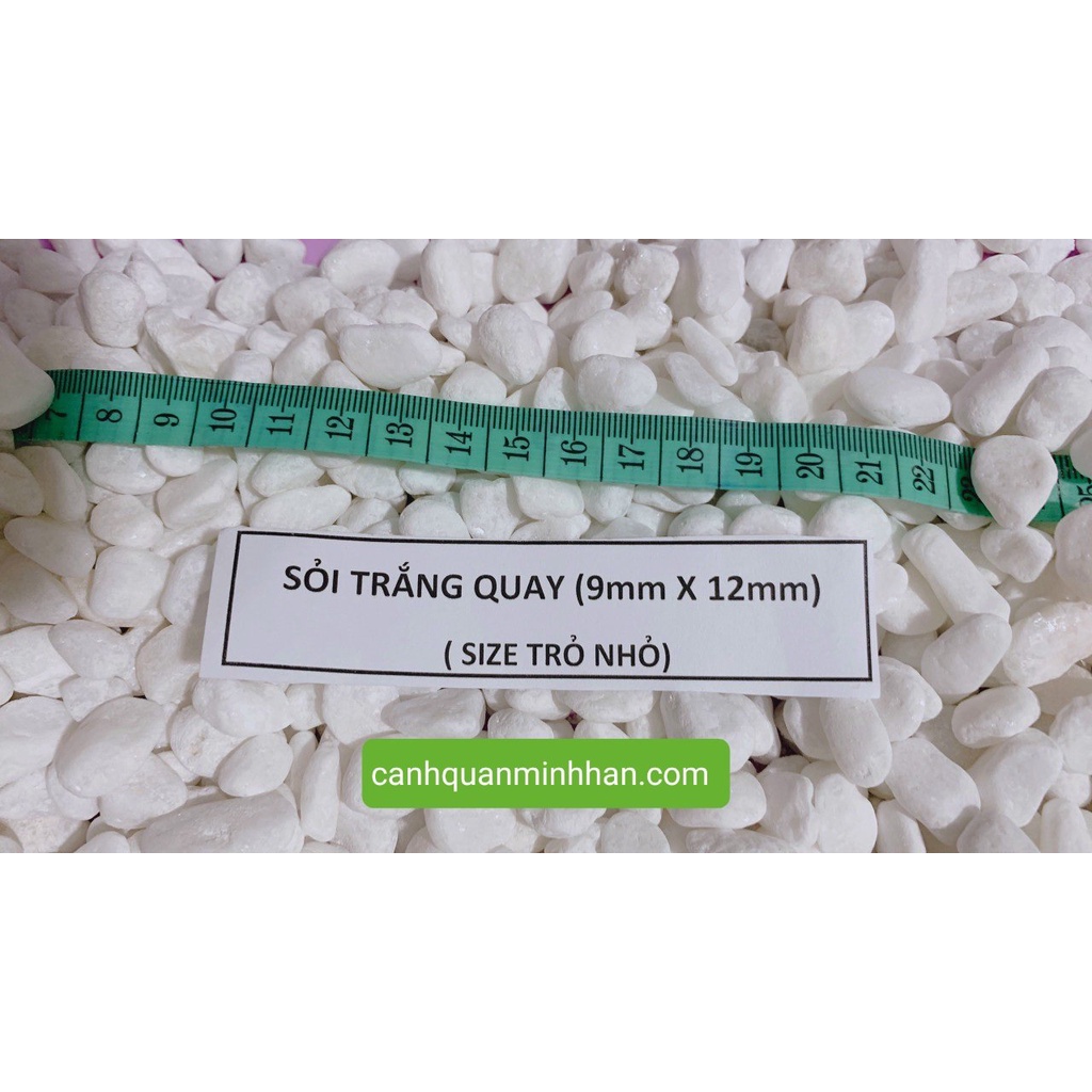 Sỏi trắng tiểu cảnh trang trí bể cá hồ cá trang trí chậu cây lót đường đi 1kg Minh Hân Garden