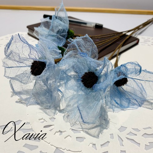 Hoa decor giá rẻ ❤️ FREESHIP❤️ Hoa khô Anh túc Xavia