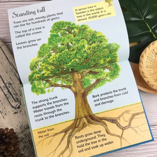 [Big Sale!] Bộ nhập 10q - USBORNE BEGINNERS NATURE BOXSET