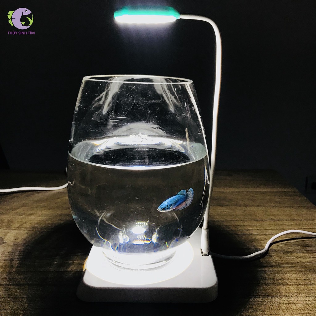 Đèn LED Cổng Sạc USB AnimSprite