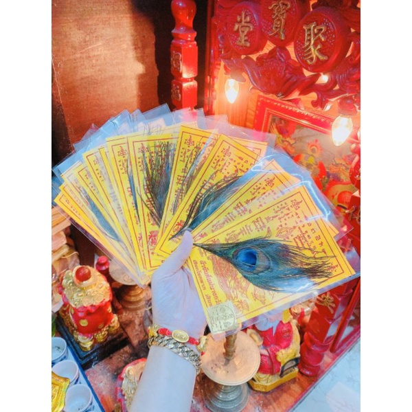 Combo Lông Công May Mắn Thái Lan