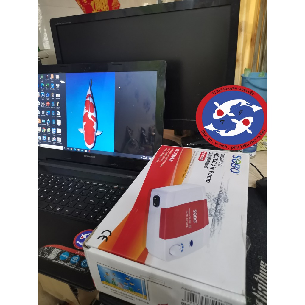 Sủi tích điện oxi cho hồ cá Koi