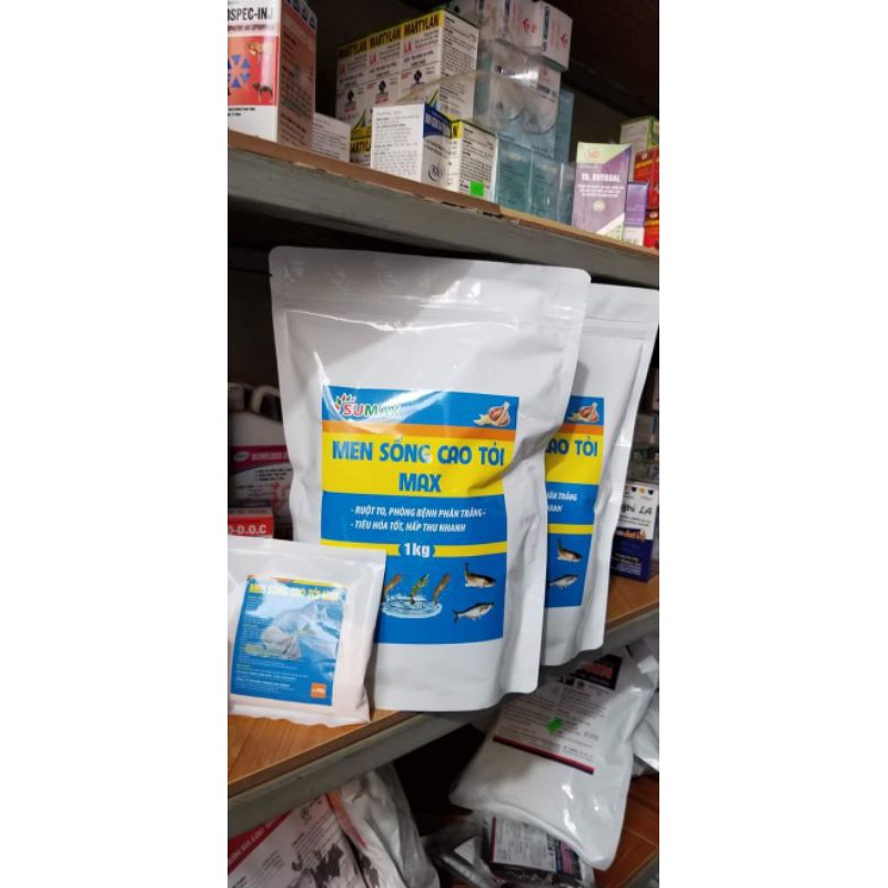 MEN SỐNG CAO TỎI THỦY SẢN