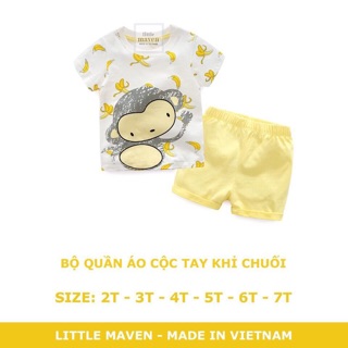 Litter maven bộ cộc hè 2018