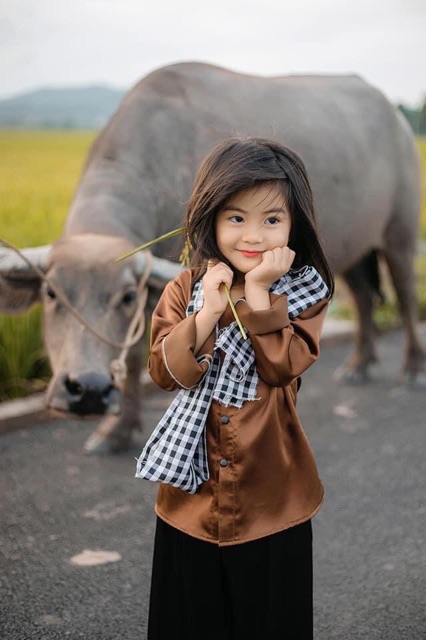 Gạo Thơm thượng hạng Nàng Hoa