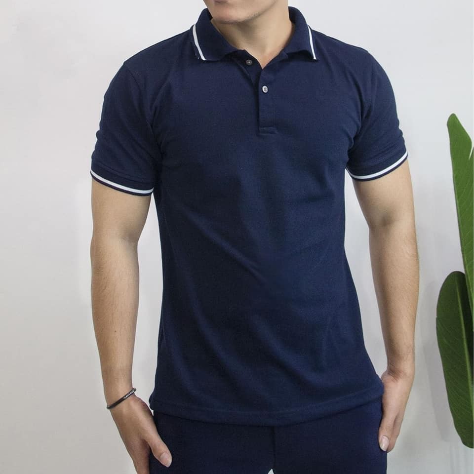 Áo polo nam, áo phông cổ bẻ nam chất đẹp 6 màu basic dễ phối đồ (ACBPV) | BigBuy360 - bigbuy360.vn