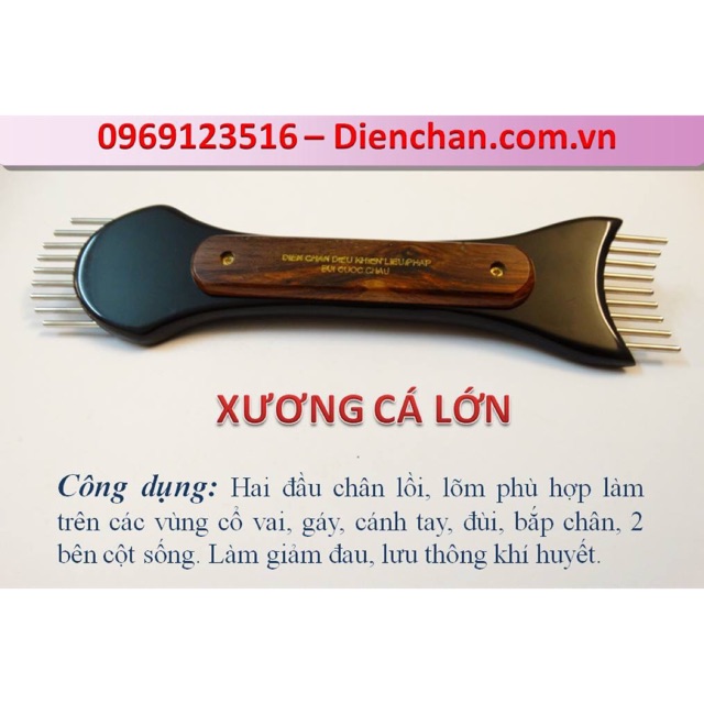 Xương cá lớn Diện Chẩn - Dụng cụ khai thông lưng cổ vai gáy