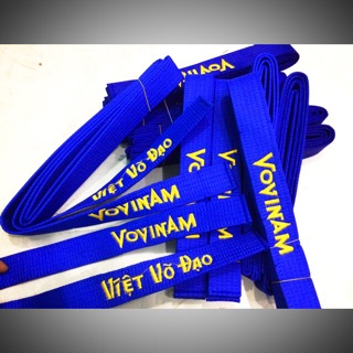 Lam đai Vovinam - Phong trào