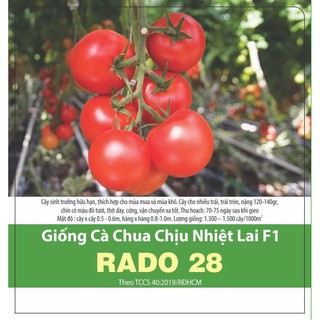Hạt giống Cà chua chịu nhiệt lai F1 0.1gr ❤️FREESHIP EXTRA❤️