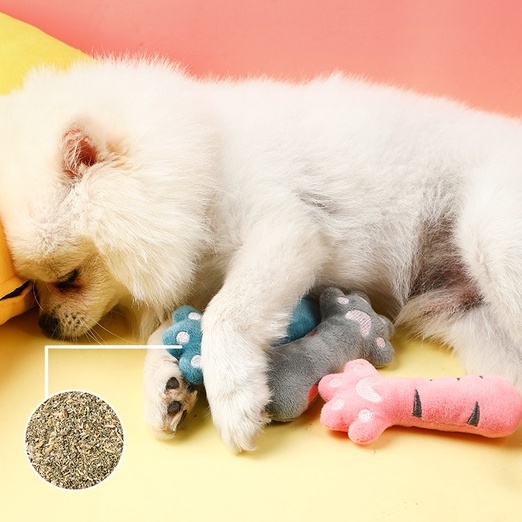 Đồ Chơi Mèo catnip xuyên biên giới vui vẻ, Gấu ôm cho chó - mèo