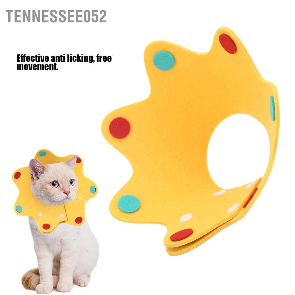 Tennessee052 Cổ áo phục hồi mèo có thể điều chỉnh thời Elizabeth thoải mái cho chó Cún con Kitty
