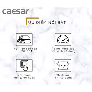 Vòi Xịt Xi (dây inox) - BS310CW CAESAR