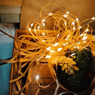 Dây đèn led đom đóm trang trí decor