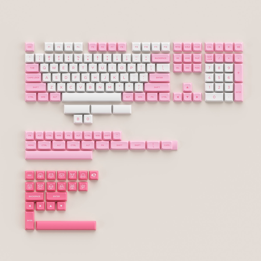 Bộ keycap phím cơ AKKO Keycap set – Prunus Lannesiana (PBT Double-Shot/ ASA Low profile/ 155 nút)