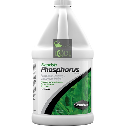 Phân nước Seachem Flourish Phosphorus 100ml 250ml 500ml