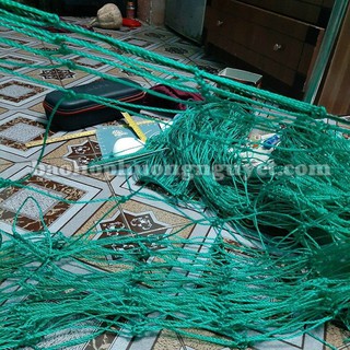 Lưới giàn leo ,lưới giàn cây( size 6x2m mắt 20x20cm sợi to)