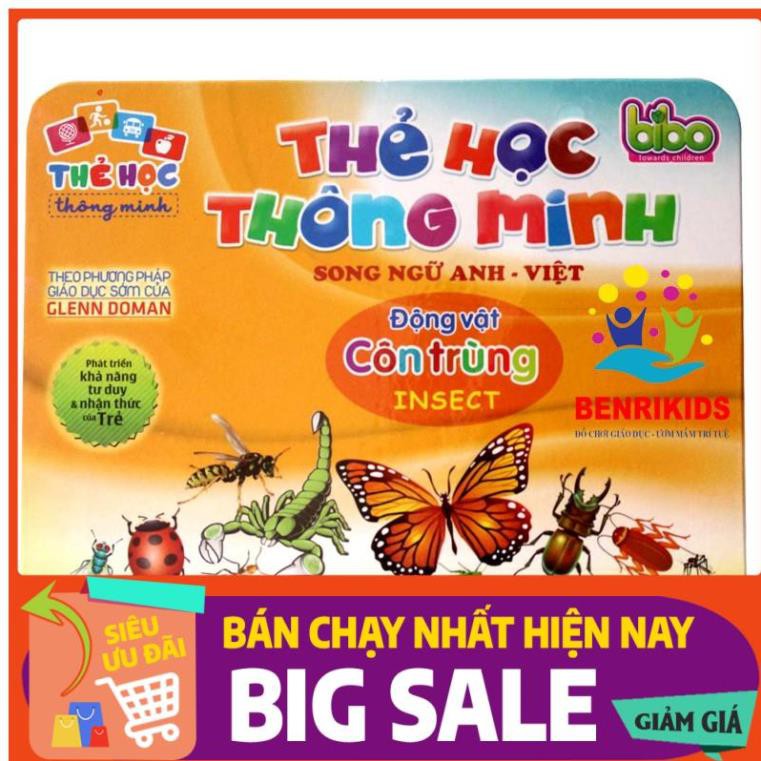 Bộ Thẻ Học Thông Minh Song Ngữ Bibo Cho Bé Học Tiếng Anh Có Dạy Phiên Âm