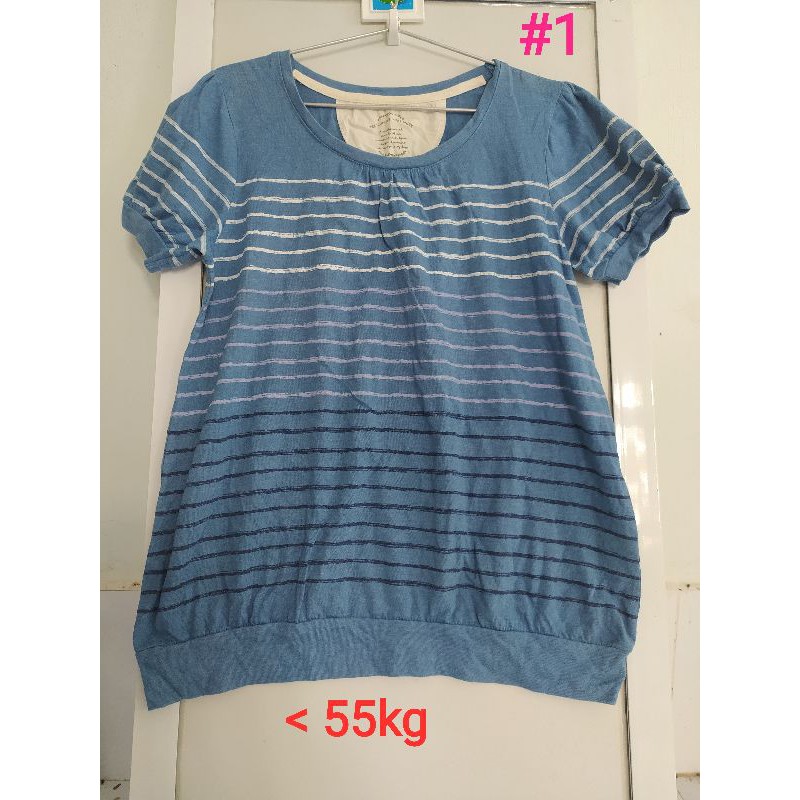 Bộ sưu tập áo thun nữ freesize