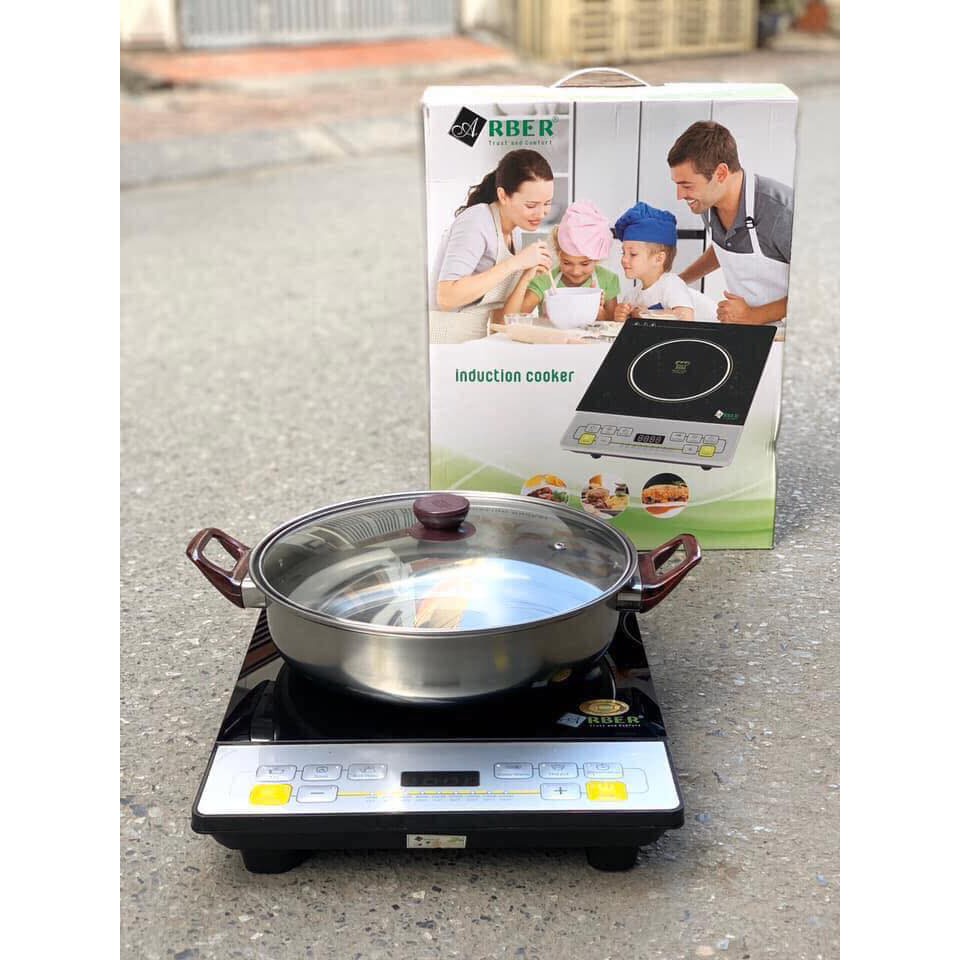 BẾP TỪ ĐƠN ARBER