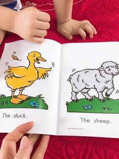 Bộ Razkids cho bé level aa
