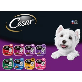 🇺🇸 Pate Thức Ăn Ướt Cho Chó Cesar Nhiều Hương Vị 100g(Hàng Mỹ)