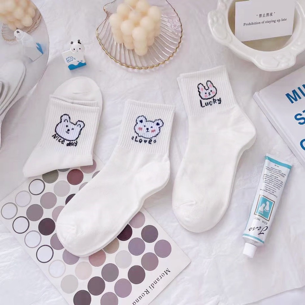 Vớ Tất Cổ Cao Gấu Trắng 6M Cotton Kháng Khuẩn Freesize Nam Nữ 36-42 MRSOCKS VC088
